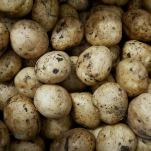 Bulk Potatoes